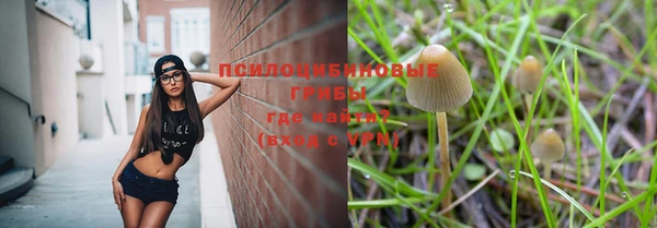 мяу мяу кристалл Новодвинск