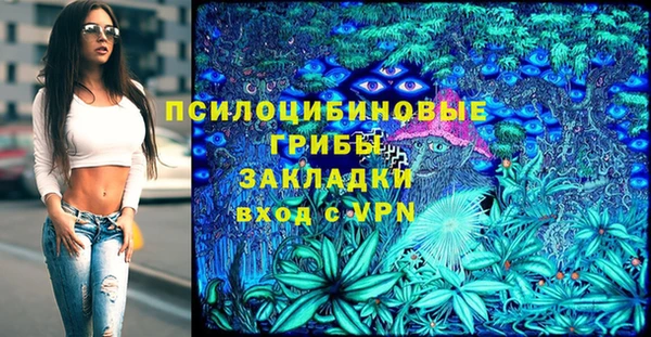 дурь Нязепетровск