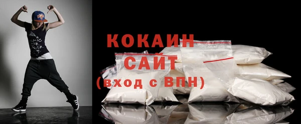 стаф Няндома