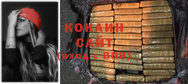 стаф Няндома
