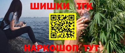СК Гатчина