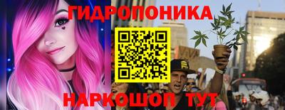 СК Гатчина