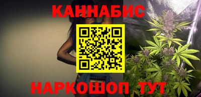 СК Гатчина