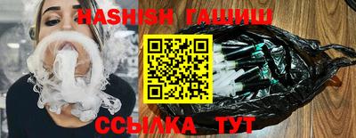 СК Гатчина