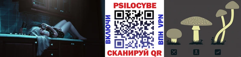 где найти наркотики  Ливны  Псилоцибиновые грибы мицелий 