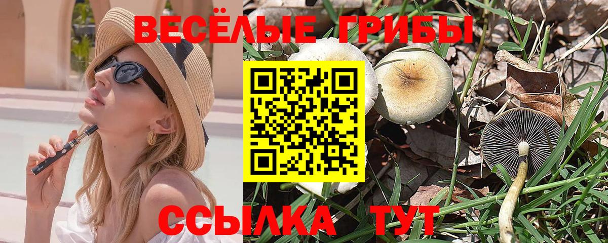 Ливны  Псилоцибиновые грибы Cubensis  Псилоцибиновые грибы Cubensis  Вход с VPN 