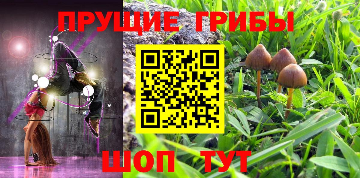 Псилоцибиновые грибы GOLDEN TEACHER Ливны