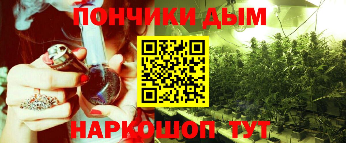Канабис сатива Ливны